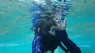 沖縄 那覇の青の洞窟でシュノーケリングしたら奇麗すぎた　Blue Cave in Okinawa!