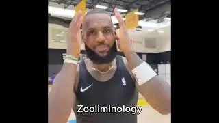 Lebron James, scream if you love Zooliminology