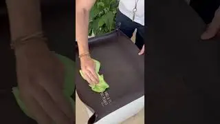Criando memórias afetivas. https://www.plantie.com.br/?utm_source=YTshorts