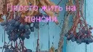 Хроника жизни 25 ноября Тавда Снег прикроет всё безобразие ,посетим дачу .