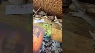 Управители планет. Джйотиш карты. Гармонизация грах - набор 