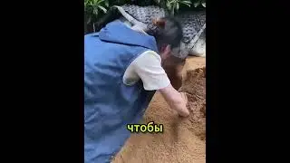 The 10 Most Horrible Minutes of My Pet Owner's Life 