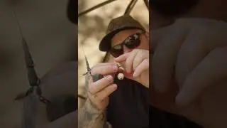 CARP FISHING: CARP RIGS