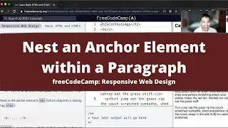 Nest an Anchor Element within a Paragraph (Basic HTML and HTML5) freeCodeCamp Tutorial