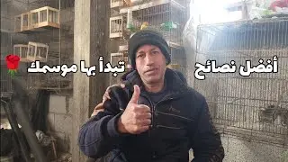 أفضل نصائح لبدء موسم 2025 (أسباب هجران إناث الكناري للعش)