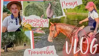 VLOG|ИЮЛЬ жара и речка|первые заготовки сена|закончила ВУЗ