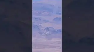 Cluster bombs solve cluster f*cks | 