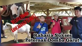 StudiTiru Ternak Domba Garut Kegiatan Flood Management Selected River Basins (FMSRB)