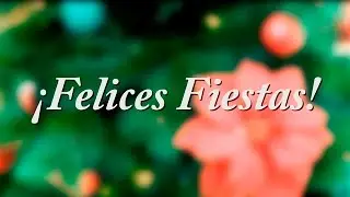 ¡El Equipo de YD7 os desea unas Felices Fiestas!