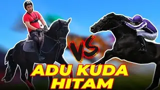 GAGAL DENGAN KUDA 800JUTA, GIMANA DENGAN 150JUTA???