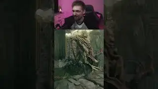 Elder Ring: Только чат решает когда боссу умереть