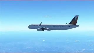 Plane Dancing With A Bird
