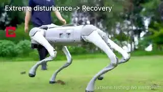 Unstoppable robot dogs from the Chinese company Unitree Robotics