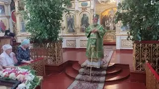 Проповедь в день Праздника Святой Троицы