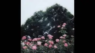 [free] guitar lofi type beat 
