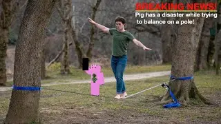 Balance