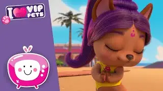 ✨🎥 LUCES, CÁMARA Y BOLLYWOOD 🎥✨ ESTRENO 🤩 NUEVA Temporada 💖 VIP PETS 🌈 DIBUJOS ANIMADOS en ESPAÑOL