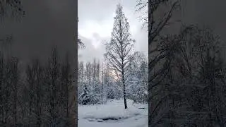 зимняя сказка