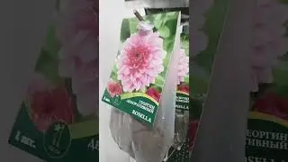 в фикс прайсе новинки