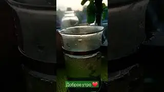 3 сентября 2023 г.