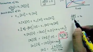 Michaelis Menten equation derivation