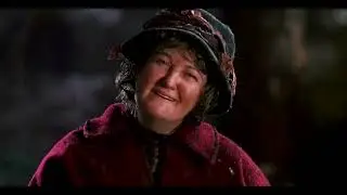 Home Alone 2: Lost in New York (1992) | The Pigeon Lady Saves Kevin in Central Park