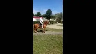 Рысим.....