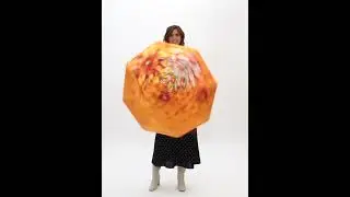 Зонт 