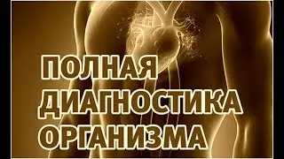 Приборы семейства AuR-uM