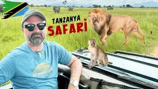 Mikumi Ulusal Parkı'nda Safari Macerası! 🦁🌍 / Durmuş'un Rotası