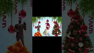 Подборка херни #мопсы #мопсы #fildnaban #humor #pug #tf2 #games #игры #игры #тф2 #юмор