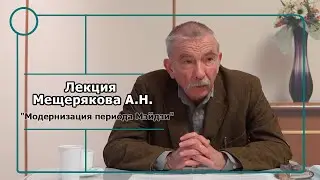 Лекция Мещерякова А.Н. 
