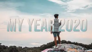 My year 2020