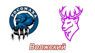 47. Матч за ТРЕТЬЕ место "Росомаха" - "Торпедо".