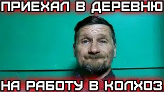Приехал в деревню - на работу в колхоз