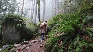 Heybrook Lookout Trail - Mt. Baker-Snoqualmie National Forest - Washington State Hiking