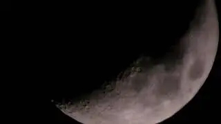 Moon Lover