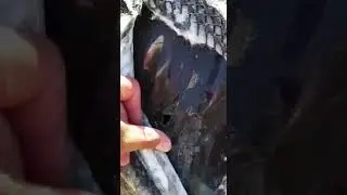 Кто-то проткнул геотекстиль в Ядрово