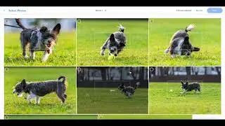 Online Photo Gallery Tutorial