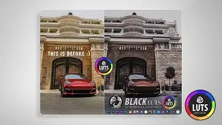 Black Lut Color