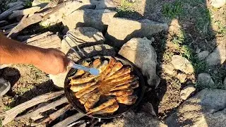 balık nasıl avlanır ve pişirirken nelere dikkat edilmelidir tamamı sizler için