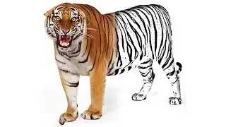 Photo to Sketch in Photoshop