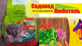 Биогумус из садовода любителя.