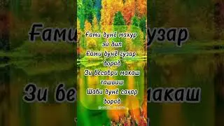 Ғами дунё махур эй дил#love #tajik #tajikistan #насихат #таджикистан #шеър