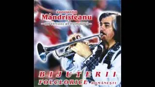 Constantin Mandristeanu - Udesteanca