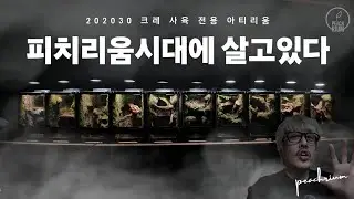 한번 선물해줄래요?  진짜 좋아하는 모습 보면 해주길 잘했다고 생각이 드는  아티리움! 크레에게는 최상의  선택!  10개의 사육장을 영상으로  소개해드려볼께요