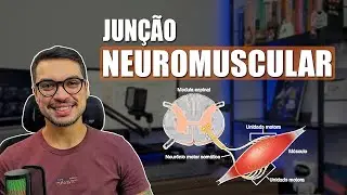 NEUROMUSCULAR JUNCTION [Muscle Fibers 07]