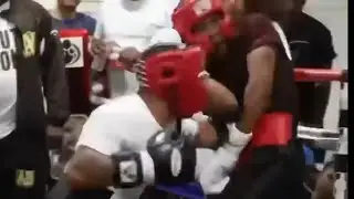 Gervonta Davis Going Beast Mode On Devin Haney!