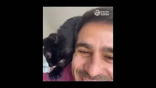 #veterinario #parati