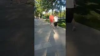 Парк Галицкого в Краснодаре огромный и волшебно красивый. Ловишь дзен👍💖